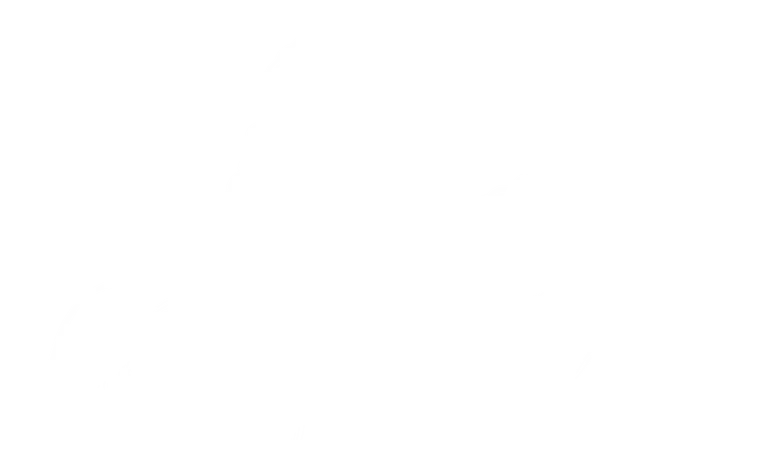 Venere e Adone di Canova disegnati a linee bianche